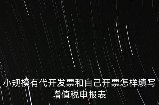代開專票申報時如何填寫，自助開具增值稅專用發(fā)票申報單怎么填