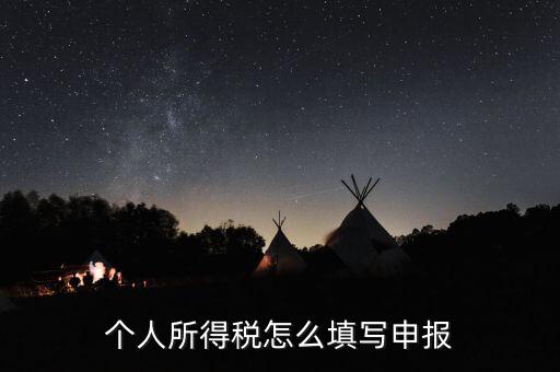 個(gè)人所得稅怎么填寫(xiě)申報(bào)