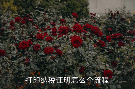 打印納稅證明怎么個(gè)流程