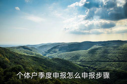 個(gè)體戶如何季度申報(bào)表，個(gè)體戶每個(gè)季度怎樣報(bào)稅