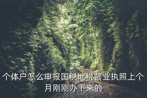 個(gè)體戶(hù)怎么申報(bào)國(guó)稅地稅營(yíng)業(yè)執(zhí)照上個(gè)月剛剛辦下來(lái)的