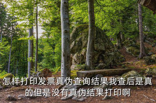 怎樣打印發(fā)票真?zhèn)尾樵兘Y(jié)果我查后是真的但是沒(méi)有真?zhèn)谓Y(jié)果打印啊