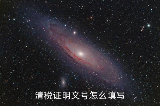 清稅證明文號(hào)怎么填寫(xiě)