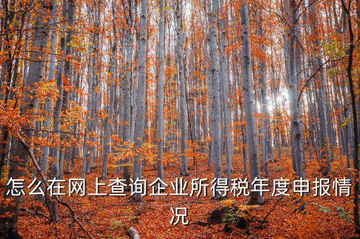 企業(yè)稅務(wù)信息如何查詢系統(tǒng)，通過企業(yè)注冊(cè)號(hào)和地稅登記證號(hào)如何查詢企業(yè)信息