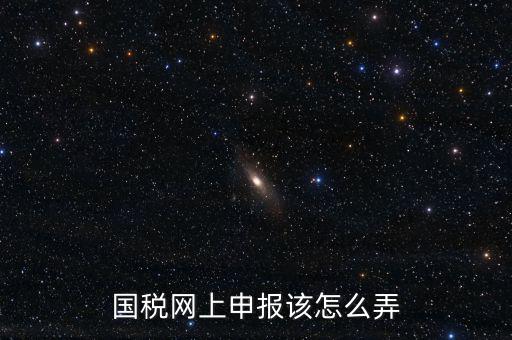 國稅新系統(tǒng)如何申報，國稅網(wǎng)上申報該怎么弄