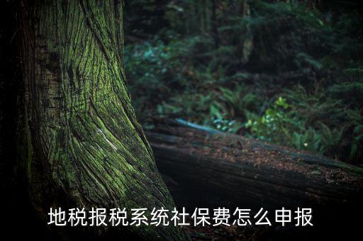 地稅如何申報社保嗎，地稅報稅時社保怎么填