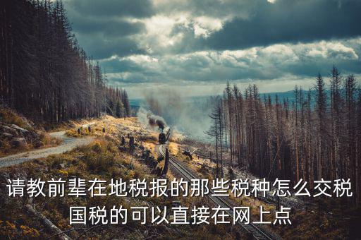 請(qǐng)教前輩在地稅報(bào)的那些稅種怎么交稅國稅的可以直接在網(wǎng)上點(diǎn)
