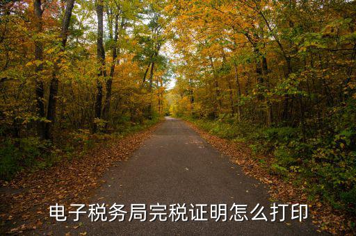 福建省網(wǎng)上稅務(wù)局如何打印，電子稅務(wù)局完稅證明怎么打印