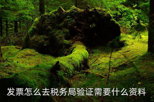 如何檢驗(yàn)發(fā)票，發(fā)票怎么去稅務(wù)局驗(yàn)證需要什么資料