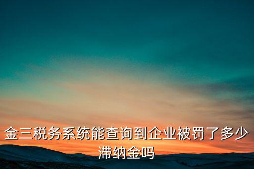 稅務(wù)部門的行政處罰如何查詢，公司的稅務(wù)罰款去哪里查詢急