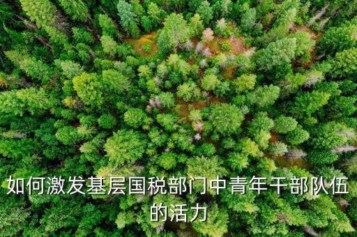 稅務如何激發(fā)干部活力，如何激發(fā)稅務干部的創(chuàng)新積極性