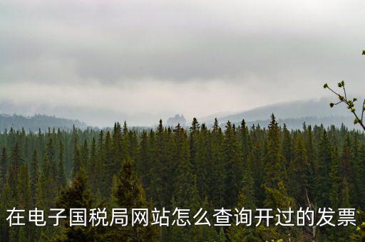 在電子國(guó)稅局網(wǎng)站怎么查詢開(kāi)過(guò)的發(fā)票