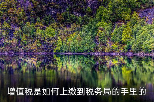 如何在稅務(wù)大廳納稅繳納稅款，在稅務(wù)大廳怎么繳納已申報(bào)稅款