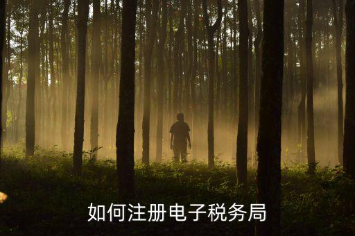 浙江稅務(wù)局個(gè)人賬號(hào)如何注冊(cè)，浙江省電子稅務(wù)局企業(yè)注冊(cè)后會(huì)繳費(fèi)嗎