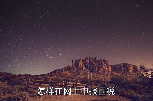 怎樣在網(wǎng)上申報國稅