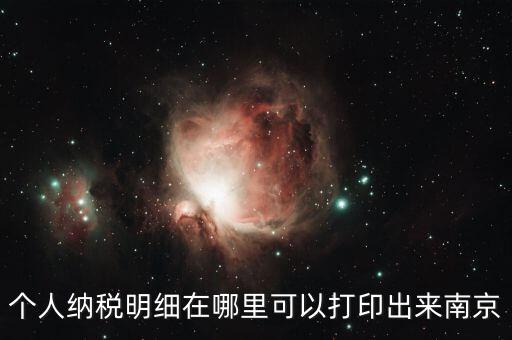 個(gè)人納稅明細(xì)在哪里可以打印出來(lái)南京