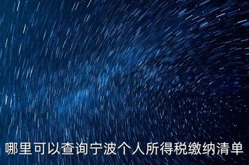 哪里可以查詢(xún)寧波個(gè)人所得稅繳納清單