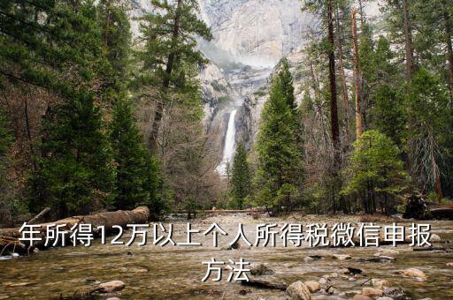 江蘇12萬元申報如何登錄申請，江蘇12萬元個人所得稅怎么申報