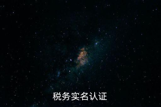 稅務(wù)實(shí)名認(rèn)證