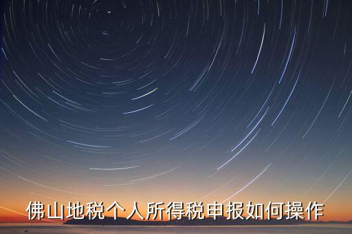 佛山地稅個人所得稅申報如何操作