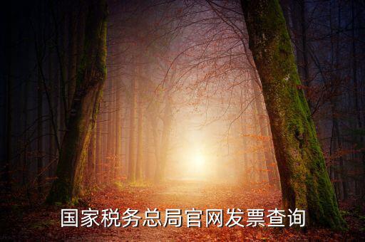 江蘇國(guó)稅如何查詢發(fā)票，江蘇發(fā)票真?zhèn)尾樵內(nèi)绾尾樵兘K發(fā)票真?zhèn)尾樵內(nèi)绾尾樵冏钪匾氖沁M(jìn)