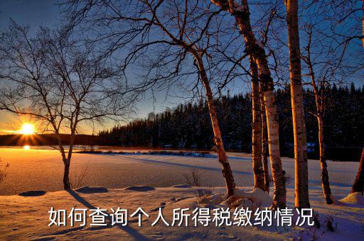 如何查詢自己交稅情況，個人繳稅記錄怎么查詢