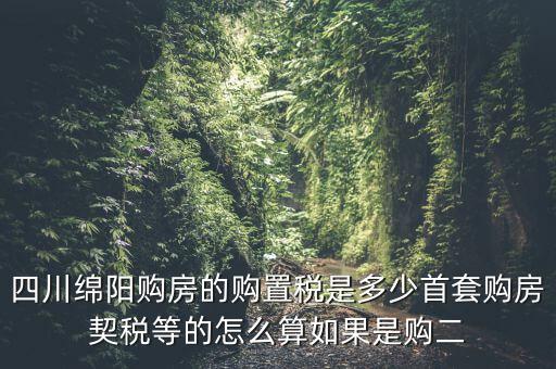四川綿陽(yáng)購(gòu)房的購(gòu)置稅是多少首套購(gòu)房契稅等的怎么算如果是購(gòu)二