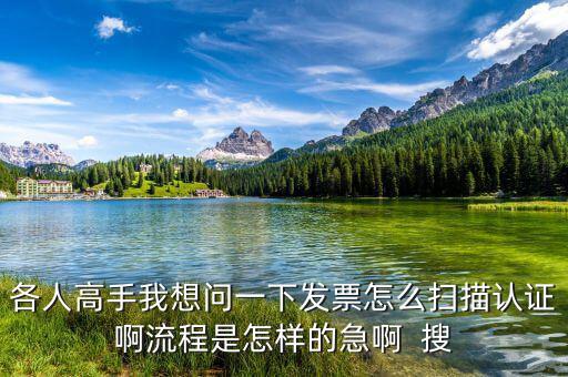 如何掃描認(rèn)證發(fā)票，各人高手我想問(wèn)一下發(fā)票怎么掃描認(rèn)證啊流程是怎樣的急啊  搜