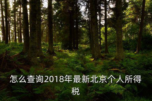 北京如何查詢個稅完稅證明，怎么查詢2018年最新北京個人所得稅