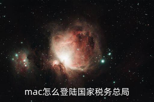 mac怎么登陸國家稅務(wù)總局