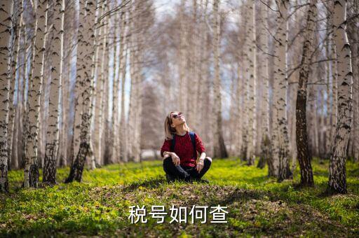 武漢如何查公司稅號，有誰知道公司名怎么查公司稅號