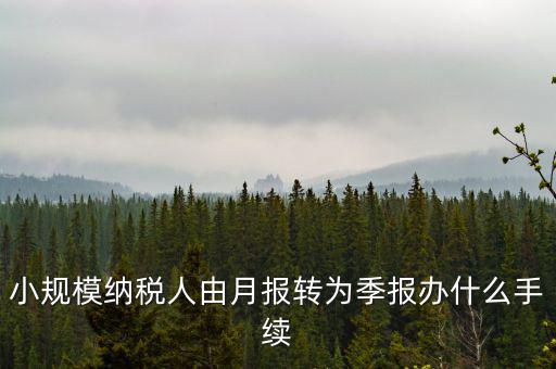 小規(guī)模附加稅如何改成按季申報，小規(guī)模納稅人增值稅按月申報可以改為按季度申報嗎
