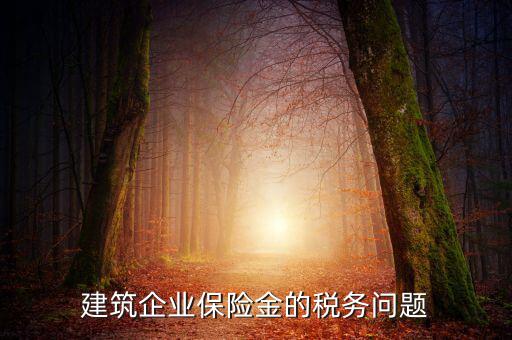 保險(xiǎn)公司稅務(wù)管理如何處理，建筑企業(yè)保險(xiǎn)金的稅務(wù)問題