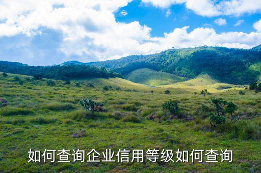 如何查詢企業(yè)是否a級，如何查詢企業(yè)信用等級如何查詢
