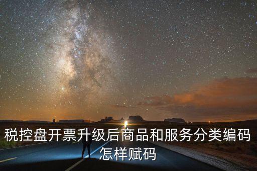 稅控盤開(kāi)票升級(jí)后商品和服務(wù)分類編碼怎樣賦碼