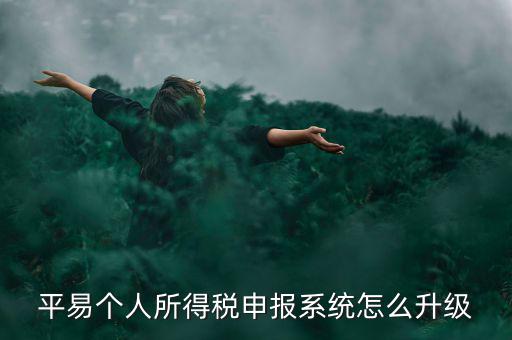 個(gè)稅如何在線升級，個(gè)稅系統(tǒng)的版本號V12146如何升級V12159