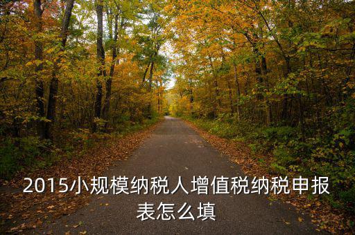 小規(guī)模納稅人國稅申報表如何填，小規(guī)模納稅人的報表怎么填
