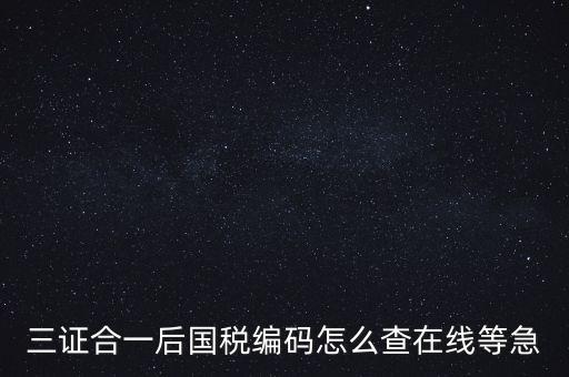 如何查詢個人稅務(wù)編號查詢系統(tǒng)，請問在哪里可以查到納稅人編碼