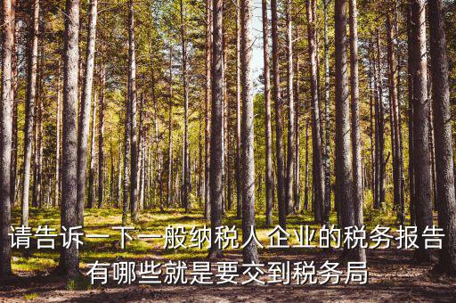請告訴一下一般納稅人企業(yè)的稅務(wù)報告有哪些就是要交到稅務(wù)局