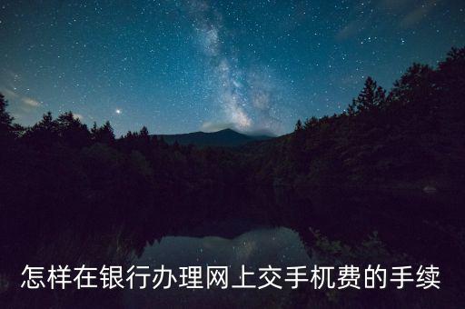 如何網(wǎng)上申請代扣代繳手續(xù)費，怎樣在銀行辦理網(wǎng)上交手杌費的手續(xù)