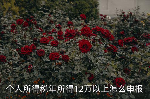 陜西地稅 12萬以上如何申報(bào)，個(gè)人所得稅年所得12萬以上怎么申報(bào)