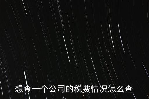 如何查詢公司納稅記錄查詢，想查一個公司的稅費情況怎么查