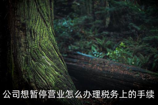 北京市如何辦理單位稅務(wù)暫停，企業(yè)暫停營(yíng)業(yè)怎么辦理