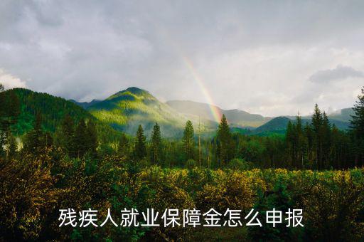 殘疾人就業(yè)保障金怎么申報