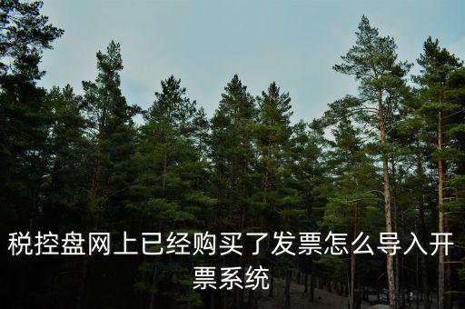 如何網(wǎng)上開(kāi)票系統(tǒng)，稅控盤網(wǎng)上已經(jīng)購(gòu)買了發(fā)票怎么導(dǎo)入開(kāi)票系統(tǒng)
