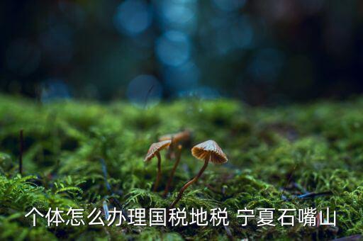 如何進(jìn)行網(wǎng)上稅務(wù)申報(bào)寧夏，寧夏中稅電子申報(bào)系統(tǒng)的報(bào)表時(shí)間如何修改 是CTRL神馬來的