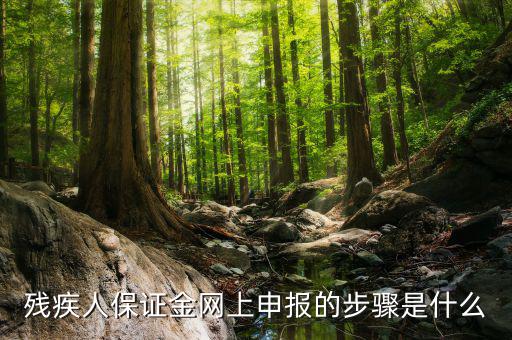 殘疾人保證金網(wǎng)上申報的步驟是什么