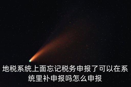 地稅如何補(bǔ)充申報(bào)表，地稅系統(tǒng)上面忘記稅務(wù)申報(bào)了可以在系統(tǒng)里補(bǔ)申報(bào)嗎怎么申報(bào)