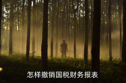 怎樣撤銷國稅財務報表