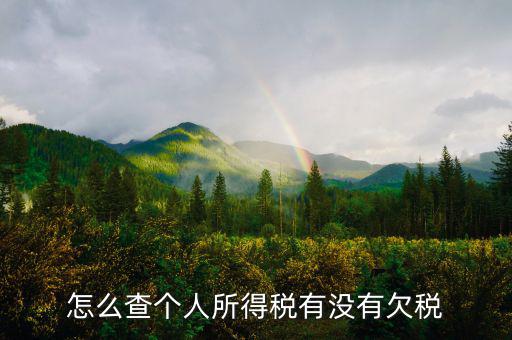 個人企業(yè)如何查欠稅啊，個體工商戶怎么查詢是否欠稅